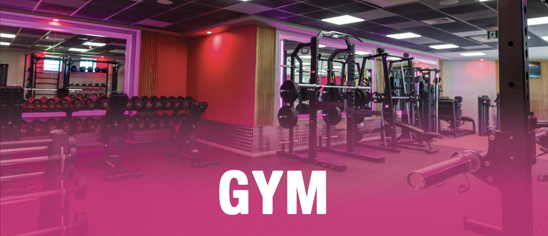 Screenshot 2023-08-29 at 16.32.56