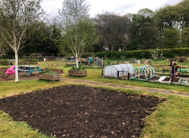 We Are Undefeatable – Active Allotment